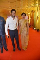 Akkineni Family at Nimmagadda Prasad Daughter Wedding